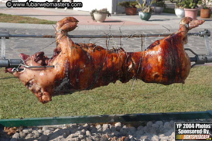 Saturday Afternoon with Rockfish 2004