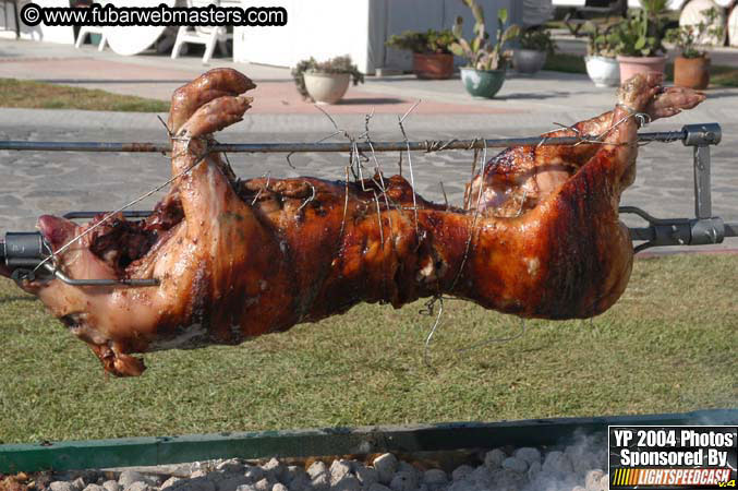 Saturday Afternoon with Rockfish 2004