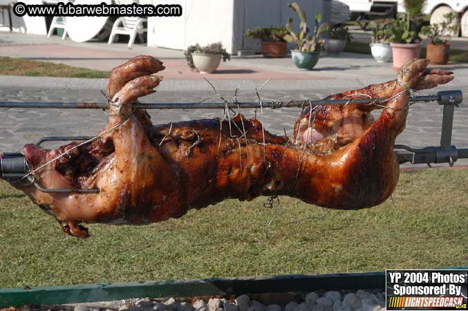 Saturday Afternoon with Rockfish 2004