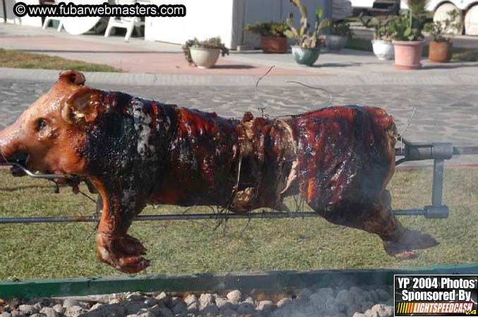 Saturday Afternoon with Rockfish 2004