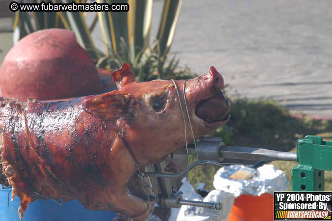 Saturday Afternoon with Rockfish 2004