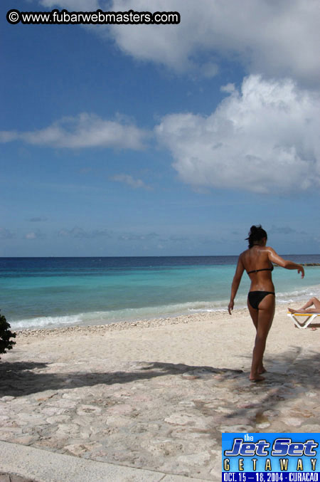 Friday Morning & Arrivals 2004