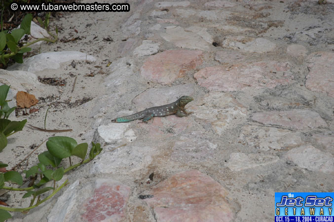 Friday Morning & Arrivals 2004