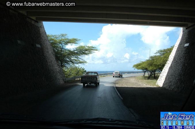 Saturday'sDolphin Swim Adventure and Animal Encounter 2004