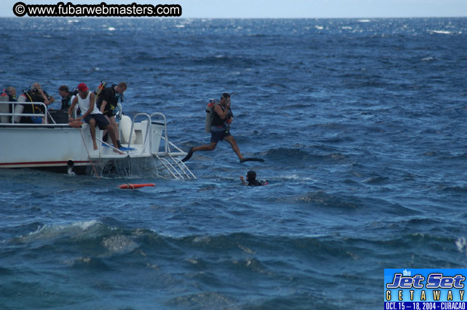 Saturday'sDolphin Swim Adventure and Animal Encounter 2004