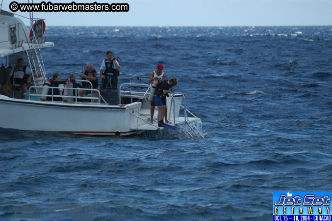 Saturday'sDolphin Swim Adventure and Animal Encounter 2004