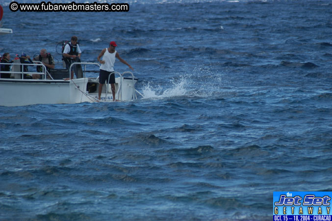 Saturday'sDolphin Swim Adventure and Animal Encounter 2004
