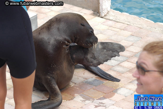 Saturday'sDolphin Swim Adventure and Animal Encounter 2004