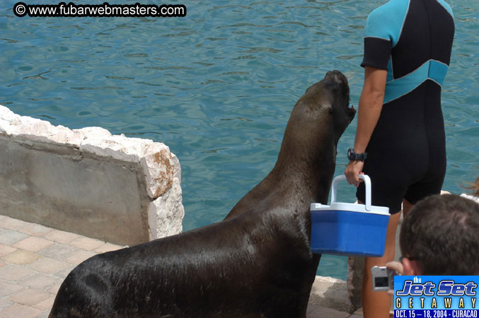 Saturday'sDolphin Swim Adventure and Animal Encounter 2004