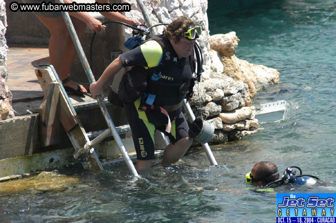 Saturday'sDolphin Swim Adventure and Animal Encounter 2004