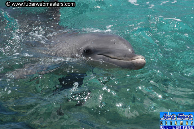 Saturday'sDolphin Swim Adventure and Animal Encounter 2004