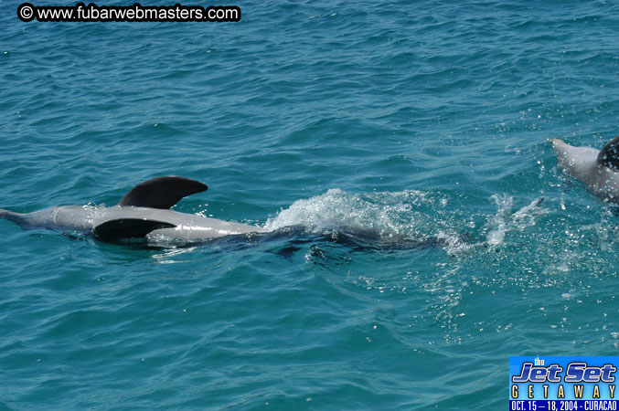 Saturday'sDolphin Swim Adventure and Animal Encounter 2004