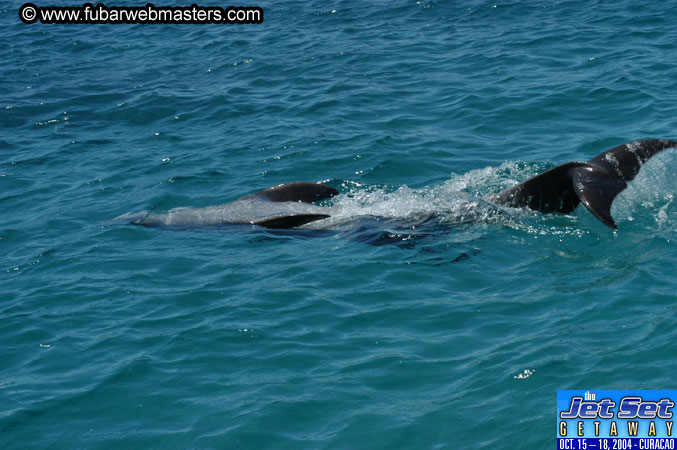 Saturday'sDolphin Swim Adventure and Animal Encounter 2004