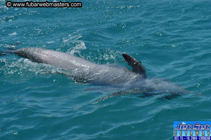 Saturday'sDolphin Swim Adventure and Animal Encounter 2004