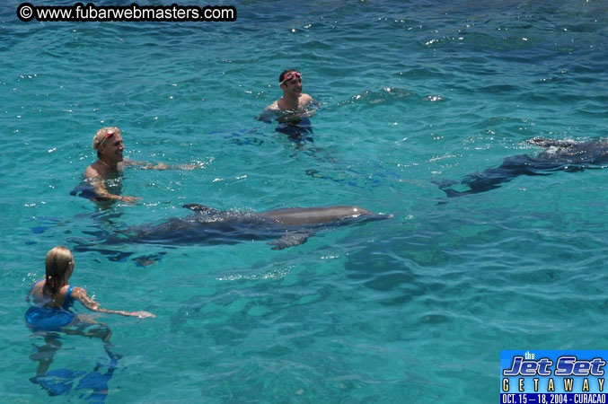 Saturday'sDolphin Swim Adventure and Animal Encounter 2004