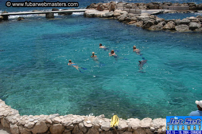Saturday'sDolphin Swim Adventure and Animal Encounter 2004