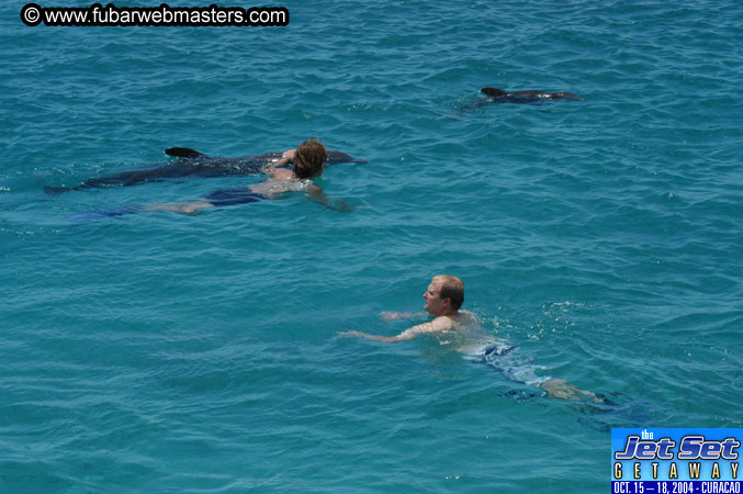 Saturday'sDolphin Swim Adventure and Animal Encounter 2004