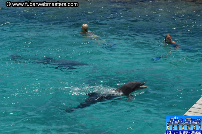Saturday'sDolphin Swim Adventure and Animal Encounter 2004