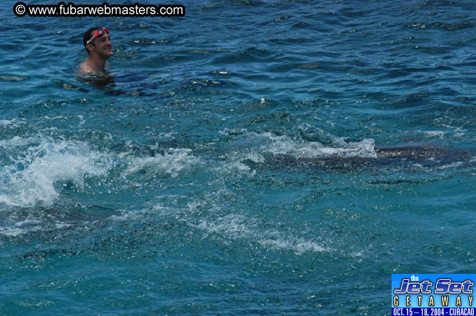 Saturday'sDolphin Swim Adventure and Animal Encounter 2004