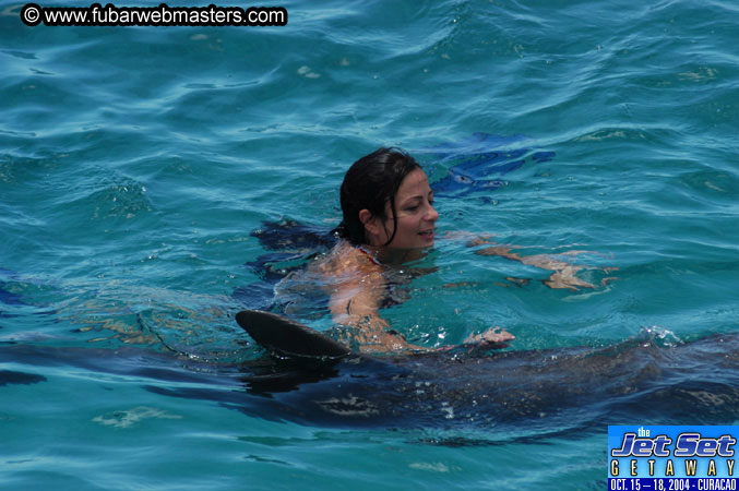 Saturday'sDolphin Swim Adventure and Animal Encounter 2004