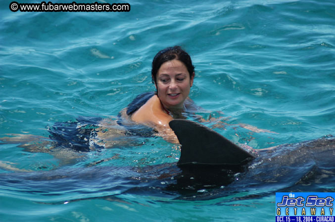 Saturday'sDolphin Swim Adventure and Animal Encounter 2004