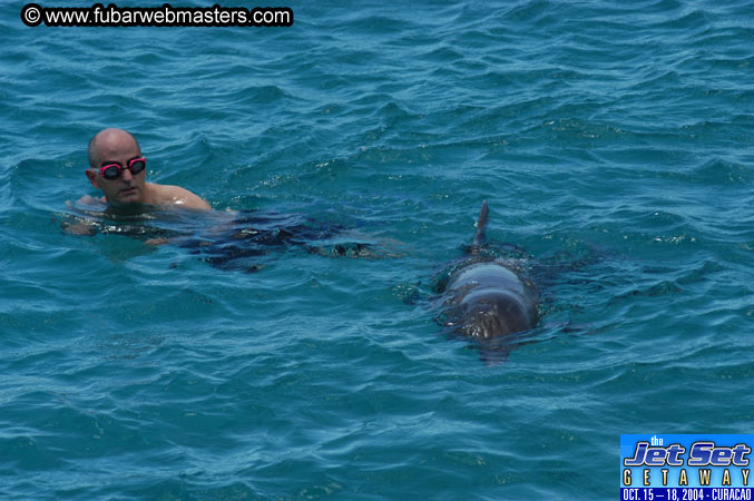 Saturday'sDolphin Swim Adventure and Animal Encounter 2004