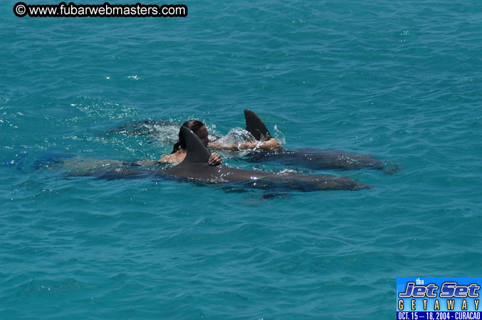 Saturday'sDolphin Swim Adventure and Animal Encounter 2004