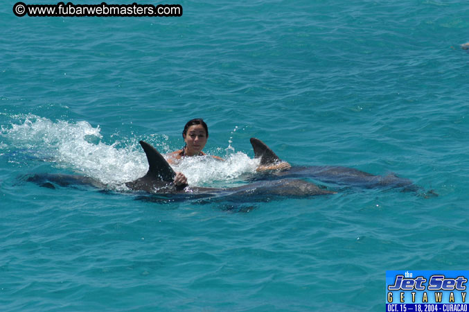 Saturday'sDolphin Swim Adventure and Animal Encounter 2004