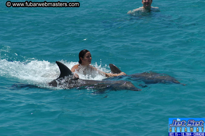 Saturday'sDolphin Swim Adventure and Animal Encounter 2004