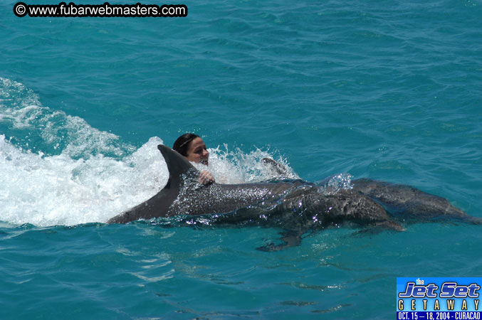 Saturday'sDolphin Swim Adventure and Animal Encounter 2004