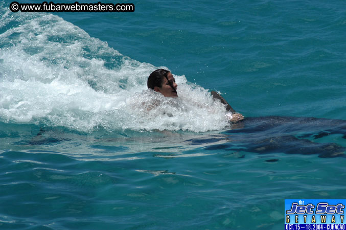Saturday'sDolphin Swim Adventure and Animal Encounter 2004