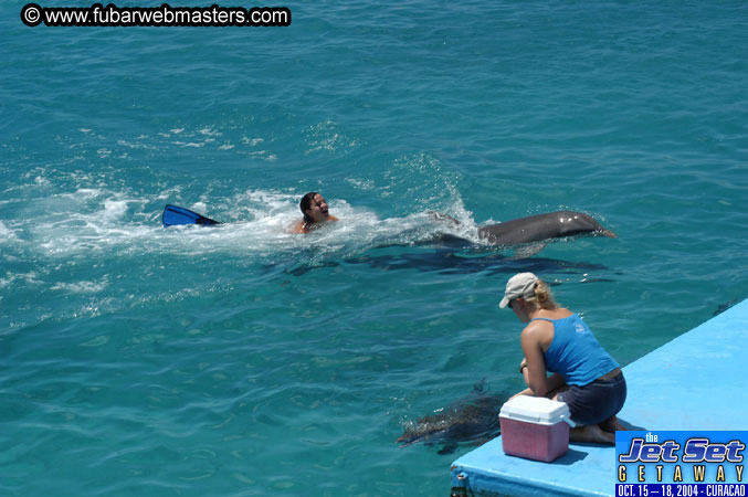 Saturday'sDolphin Swim Adventure and Animal Encounter 2004