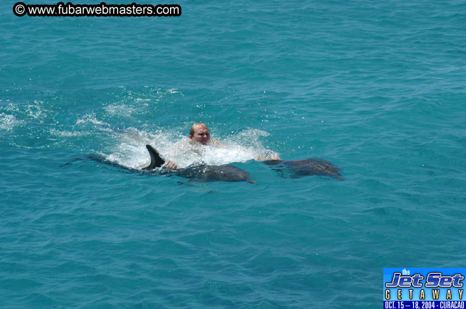 Saturday'sDolphin Swim Adventure and Animal Encounter 2004