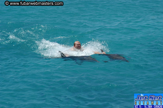 Saturday'sDolphin Swim Adventure and Animal Encounter 2004