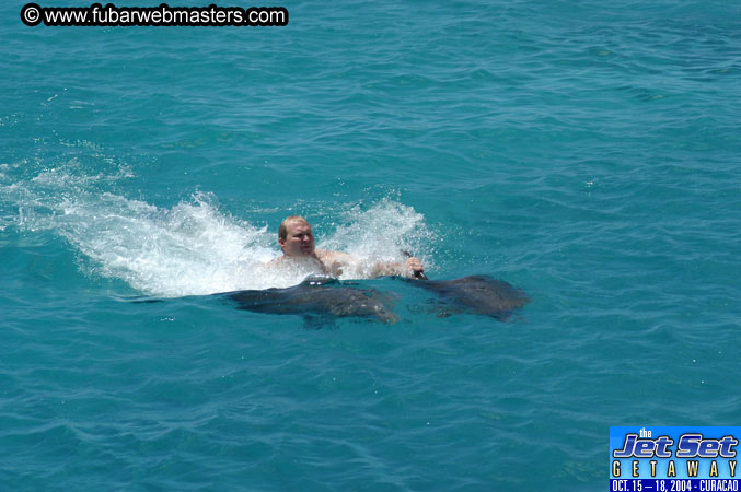 Saturday'sDolphin Swim Adventure and Animal Encounter 2004