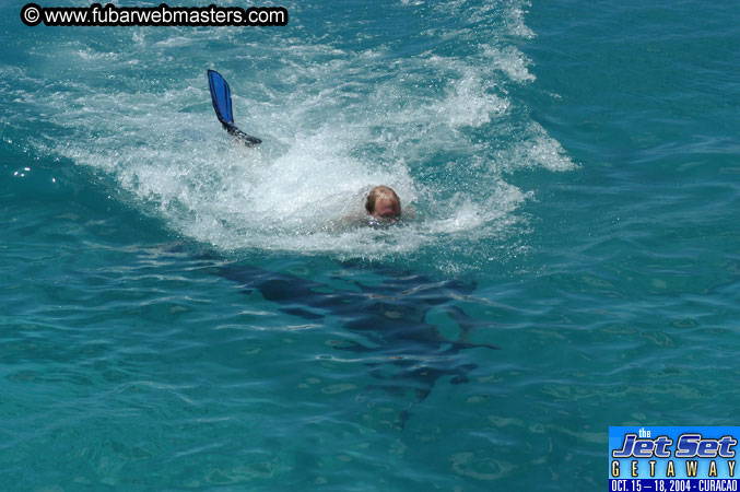 Saturday'sDolphin Swim Adventure and Animal Encounter 2004