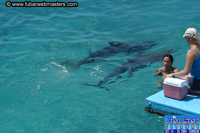 Saturday'sDolphin Swim Adventure and Animal Encounter 2004