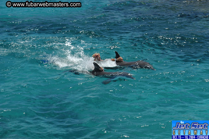 Saturday'sDolphin Swim Adventure and Animal Encounter 2004