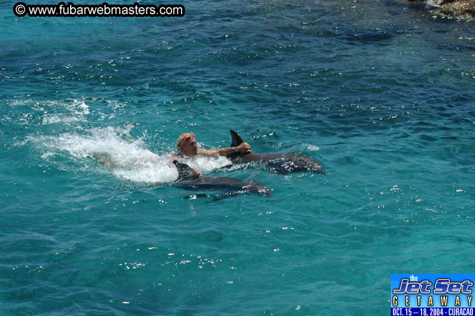 Saturday'sDolphin Swim Adventure and Animal Encounter 2004