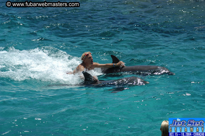 Saturday'sDolphin Swim Adventure and Animal Encounter 2004