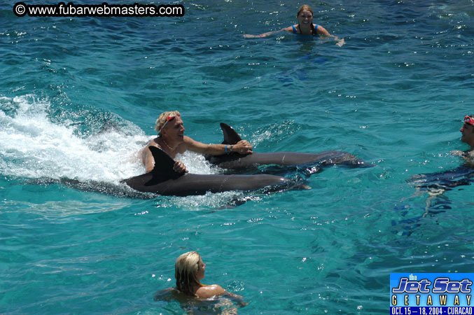 Saturday'sDolphin Swim Adventure and Animal Encounter 2004