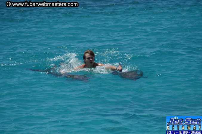 Saturday'sDolphin Swim Adventure and Animal Encounter 2004