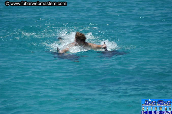 Saturday'sDolphin Swim Adventure and Animal Encounter 2004