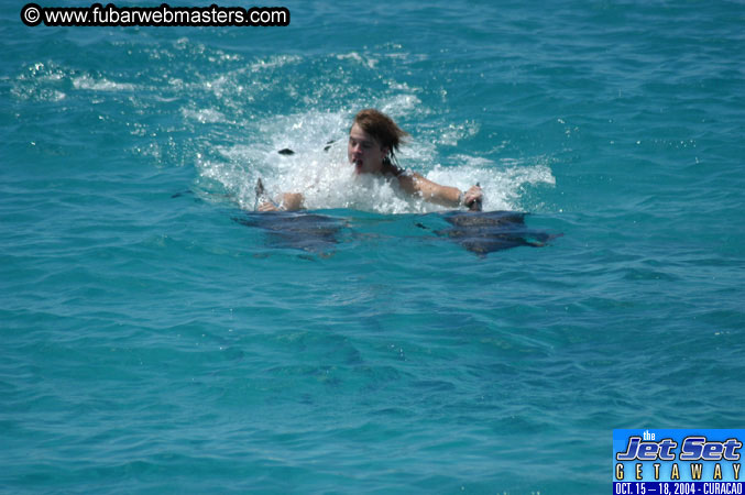 Saturday'sDolphin Swim Adventure and Animal Encounter 2004