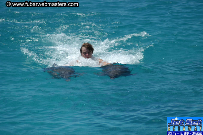 Saturday'sDolphin Swim Adventure and Animal Encounter 2004