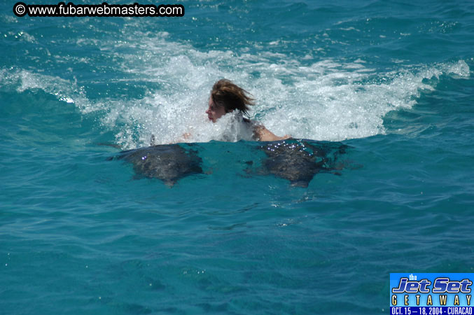 Saturday'sDolphin Swim Adventure and Animal Encounter 2004