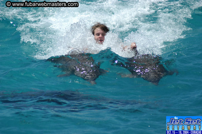 Saturday'sDolphin Swim Adventure and Animal Encounter 2004