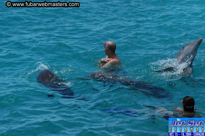 Saturday'sDolphin Swim Adventure and Animal Encounter 2004