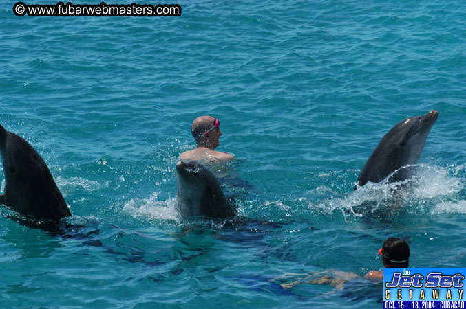 Saturday'sDolphin Swim Adventure and Animal Encounter 2004