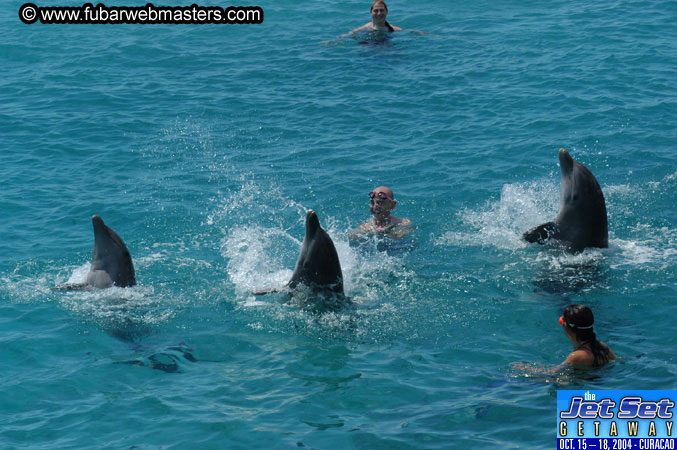 Saturday'sDolphin Swim Adventure and Animal Encounter 2004